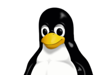 Cómo configurar una interfaz VLAN en Linux? Icono de Linux