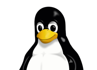 Cómo configurar una interfaz VLAN en Linux? Icono de Linux