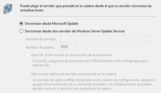 Sincronizar Microsoft updates